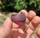  Genuine Red Ruby Surf Tumbled Sea Glass Bottle Neck Beach 