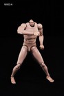 New 1 6 Scale 12  Caucasian Male Man Neck Body Model Skin Head Action Figure