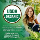 Zazzee Usda Organic Bilberry 20 1 Extract  6000 Mg Strength  120 Vegan Capsules