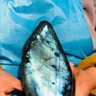 4 02lb  natural Gorgeous Labradorite Quartz Crystal Stone Specimen Healing