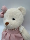 Cute Adorable Stuffed Animal Teddy Bear In Pink Dress Plush Toy Gift Read