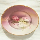Antique Bavaria Hand Painted Porcelain Plate Pink White Roses 9 75  Gold Trimmed