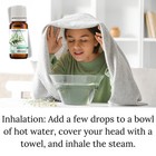 Essential Oil 10ml  Therapeutic Grade 100  Pure Natural Undiluted Aceite Esencia