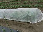 Agfabric 5x25ft Outdoor Warm Winter Worth Floating Row Cover plant Blanket  55oz