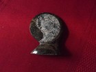 Polished Fossil  Interesting Decoration