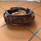 Bashlin Climbing Lineman Belt Size D20 No 88 Bashlin Safety Fall Protection
