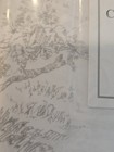 Cabbages   Roses London King Duvet Set Country Toile- Color Linen 100  Cotton