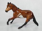 Stone Yogi   Boo Boo Cutter   Calf Chip Set 2022 Little Horse Show Lhs