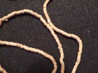 Rare Strand Of Old Native American N  California  Shell Trade Beads