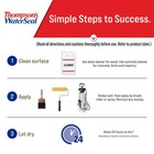 Thompson   s Waterseal Multi-surface Waterproofer Stain  Clear  1 Gallon