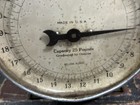 Vintage antique Metal Family Scale 24lbs Kitchen Scale Still Works