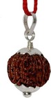 14 Mukhi Rudraksha Nepali Original Certified Igl Lab Tested Special Brown Color