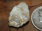 Blue Mtns  Oregon Natural Gold Quartz Specimen 1 47 Gram Gold