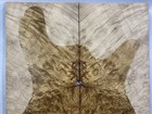 Aaaaa Les Paul Guitar Top Birdseye Barky Golden Camphor Wood Burl Luthier Supply