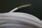 25 Ft 14 Awg Mil Spec Spc Stranded 600v 200 Deg C Teflon  Ptfe Wire