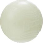 Chuckit  Lightplay Ball Max Glow Dark Fetch Dog Toy Small