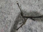  Vintage Cast Iron Water Heater Stand base  Adjustable 
