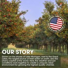 Tart Cherry Juice 6 Pack 64oz 100  Natural Boosts Immunity Sugar-free