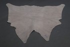 100  New Cowhide Rugs Area Cow Skin Leather  36 x 35   Cow Hide Sa-1031