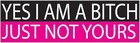 Funny Pink Bumper Sticker  Yes I Am A Bitch Just Not Yours - 10x3 Inches