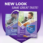  2 Pack  Purina Cat Chow Gentle Sensitive Stomach And Skin Dry Cat Food  13lb