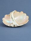 Antique Victorian Mother Of Pearl Conch Shell Basket Pocket Watch Holder Dish