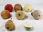8 Vintage Beaded Faux Fruit 6 Pears Pomegranate Peach Various Sizes   Colors
