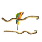 Natural Parrot Wood Fork Branch Perch Bird Cage Hanging Swing Bird Standing Bran