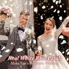 180 pcs Real White Rose Petals 1 75oz Preserved Flower Confetti Decor