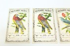 American Girl Pleasant Company Rewards Of Merit Cards Lot Of 4 Bird Designs