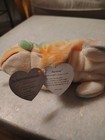 Ty Beanie Baby - Rainbow The Chameleon  tye-dyed   9 Inch  - Mwmts Stuffed Toy