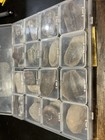 Indiana Fern Fossils Mixed Selection Of 36 Priced   All Authentic And Preserved