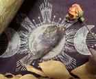 Rare Raw Auralite 23 Crystal  All Natural  Crystal Grid  Witchcraft  Pagan