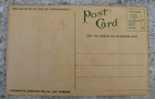 1915 Panama Pacific Exposition  Postcard Unused