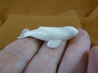 Whal-w136 Little Beluga Whale Of Shed Antler Figurine Bali Detailed Love Whales