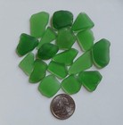 Green Sea Glass 17 Med-lg Frosty Kelly Pieces Jq Genuine Surf Tumbled Nyc Beach 