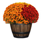 New Durable 20in Rustic Brown Resin Barrel Planter Outdoor Decor For Gardens