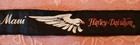 Vtg Handpainted Eagle Harley Davidson Thin Tie Bandana Sash Headband Maui Hawaii