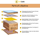 8-frame Bee Hives And Supplies Starter Kit beehive Kit Dipped In Beeswax bee Kee