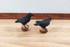 Dollhouse Crows Or Ravens Birds Set Of 2 Large 1 5 8  Long 1 12 Scale Miniature