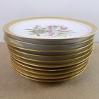 10 Antique T v Limoges Hand Painted Botanical Plates Ovington Bros New York