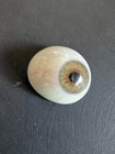 Vintage Ao American Optical Human Prosthetic Acrylic Hazel Eye Inventory A-12