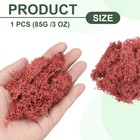 3oz Preserved Reindeer Moss  Red Decorative Artificial Fake Moss