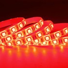 5m 16 4ft  5050 Waterproof 300 Led Strip Lights 60led m Flexible Red