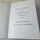 Vintage Thanksgiving Card For Granddaughter Cute Pilgrim Cat Kitten With Pumpkin