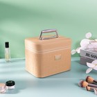 Train Case Makeup Box  Big Begie Makeup Box Organizer  Large Capacity Cosmeti   