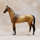  gench  Akhal-teke Stallion - Cast Artist Resin - 1 9 Scale