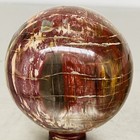 Natural Petrified Wood Polished Stone Quartz Crystal Sphere Ball Healing 1300g