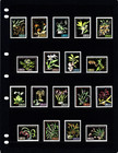  33 60 Scott Value - 1962 Venezuela Orchids Flowers Scarcer Cv Mnh Nh Umm