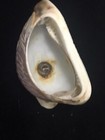 Victorian Sailors Souvenir Shell Art Cape Henry Va Matchholder